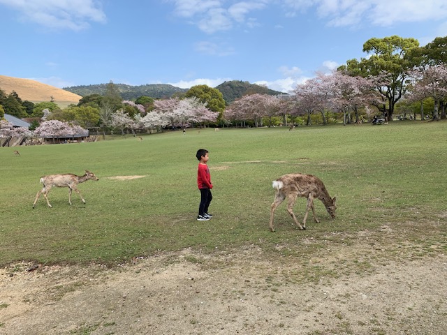 メインビジュアル画像