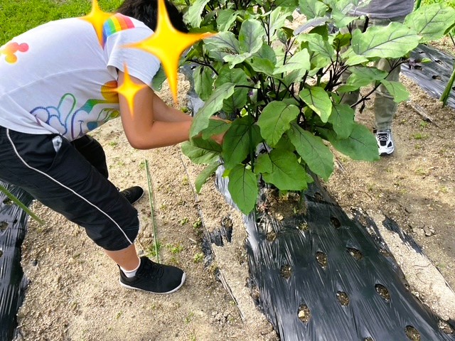 支援プログラム写真